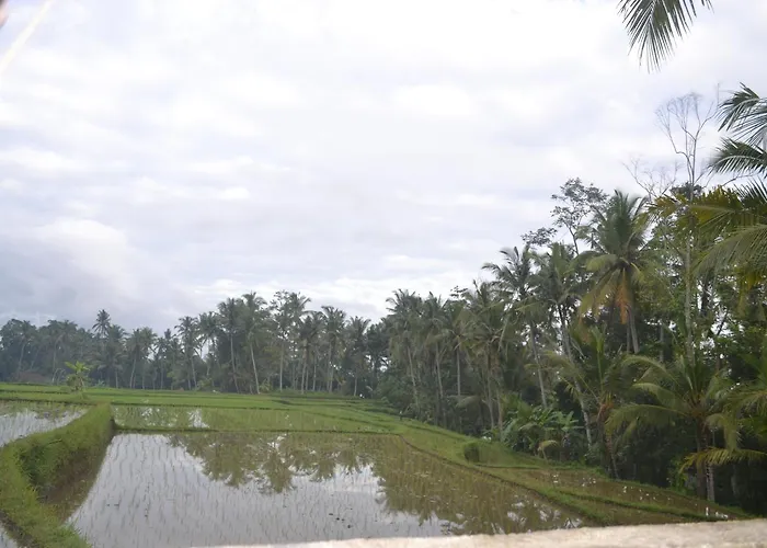 Buda Lodge Ubud