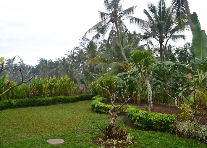Buda Lodge